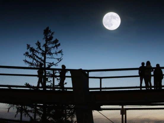 Vollmond Baumwipfelpfad