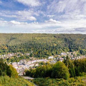 Königlich-wildes Natur- und Genusserlebnis Bad Wildbad Hansy Vogt