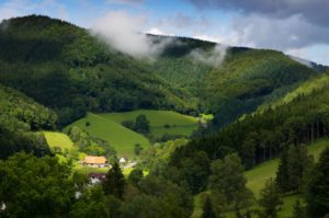 SCHWARZWALD IN DEUTSCHLAND: DAS BESTE WAS MAN TUN UND SEHEN KANN