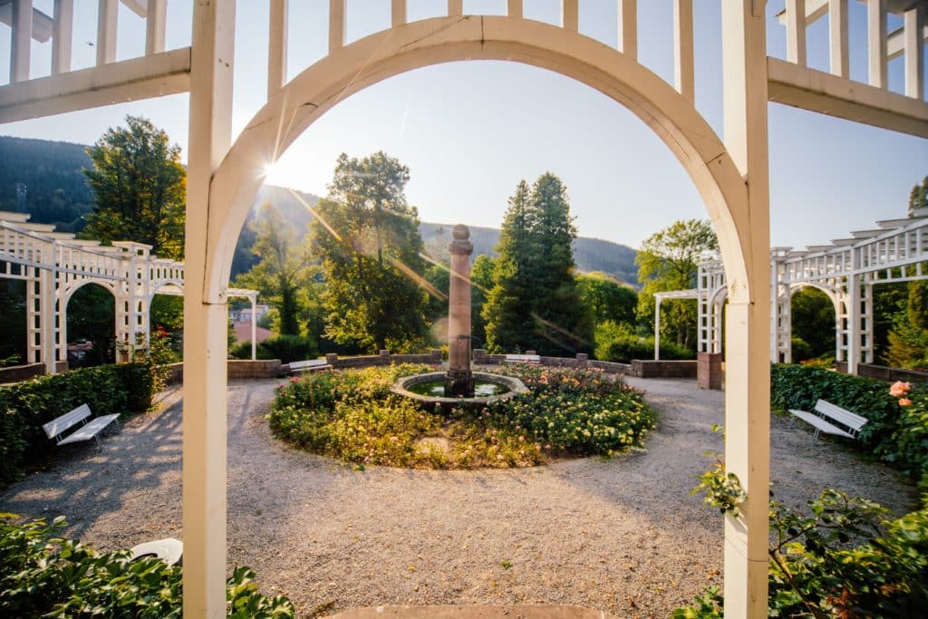 Rosengarten Bad Wildbad Kurpark Schwarzwald