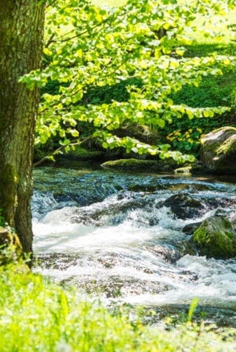 Literaturspaziergang mit Lea Ammertal: Auf poetischen Spuren durch den Kurpark