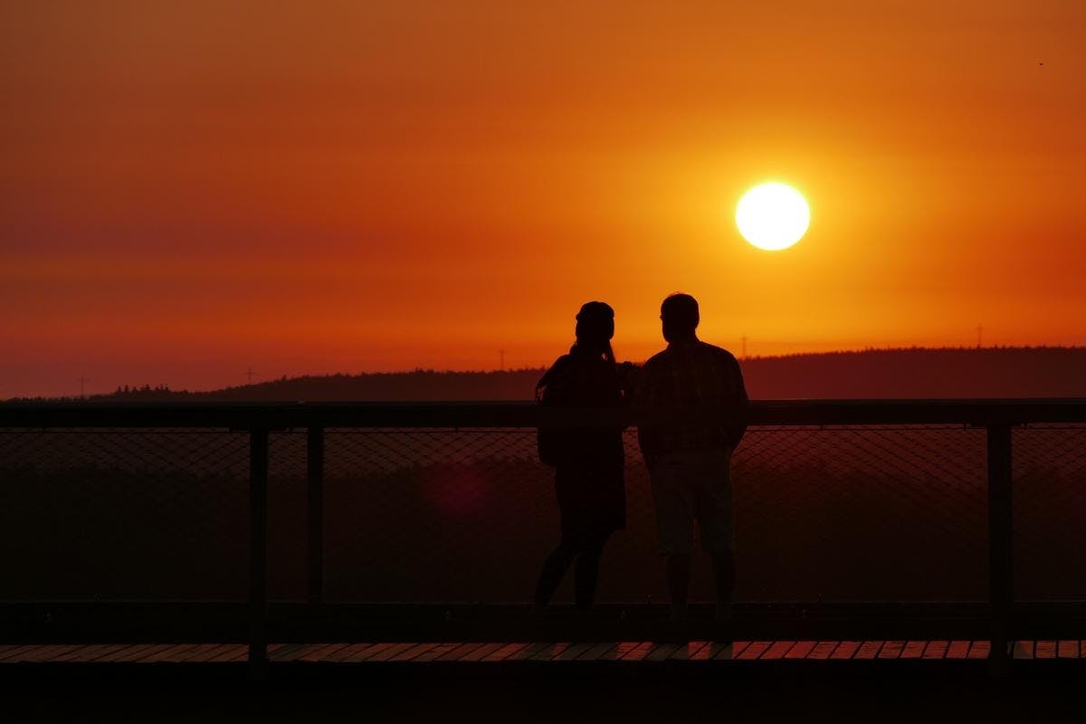 Sonnenaufgang über den Baumwipfeln