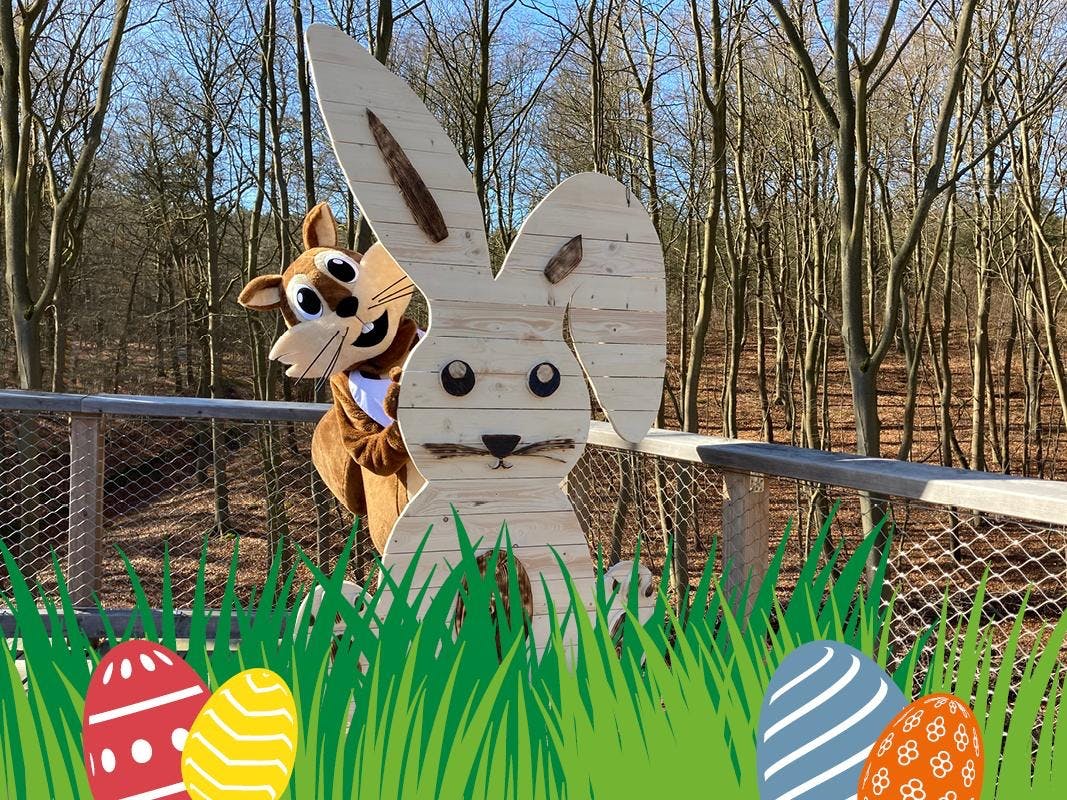 Ostern über den Wipfeln