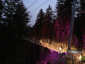 Rossini in Wildbad - Bläserquartett auf der WILDLINE