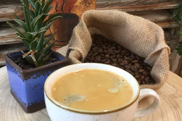 Kaffeezubereitung & Verkostung
