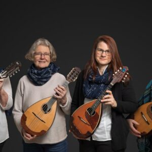 Konzert des Mandolinenorchesters
