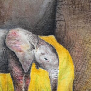 Naturbilder - Ausstellung von Liane Becht