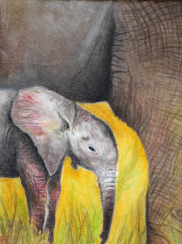 Naturbilder - Ausstellung von Liane Becht