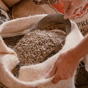 Faire Woche - Kaffeeschnupperkurs "Spezial Fairtrade" in der Kaffee-Manufaktur Bad Wildbad