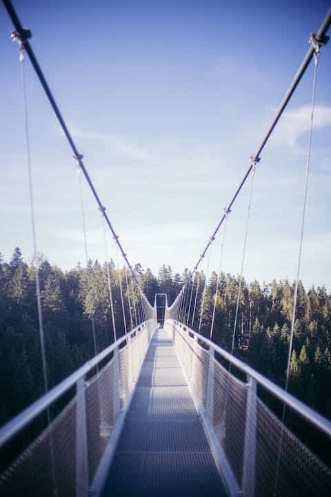 WILDLINE DKMS Aktionstag