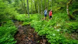 Wellness und Natur: Nordschwarzwald, das perfekte Paar
