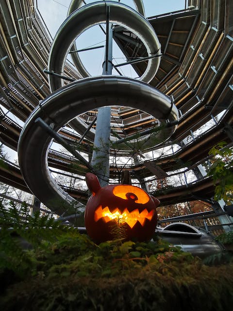 Halloween auf dem Baumwipfelpfad