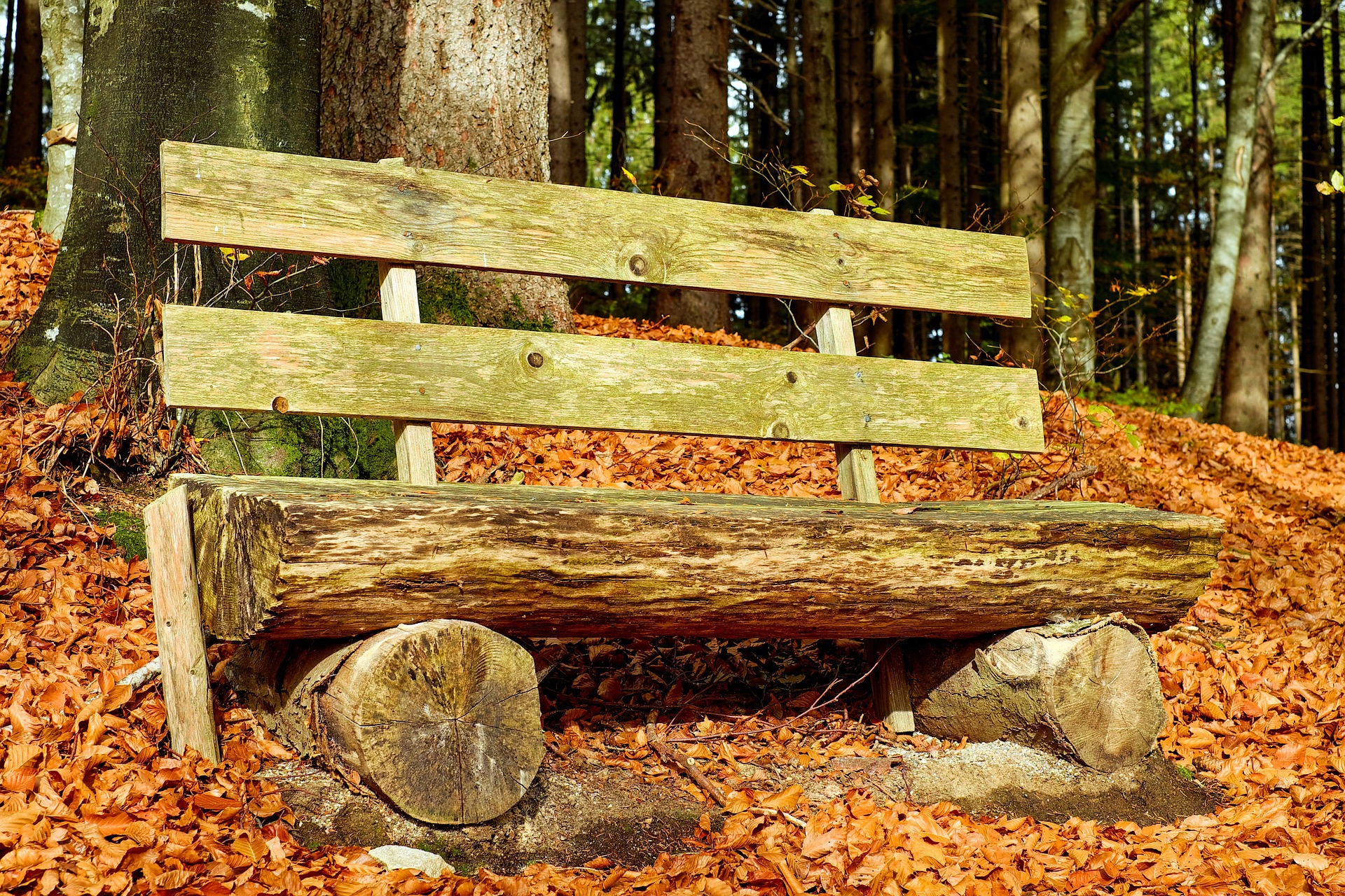 Traumhaft entspannen im Schwarzwald: Die besten Wellness-Tipps