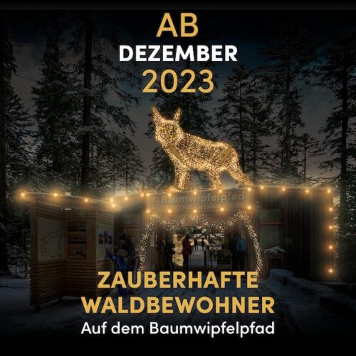 Zauberhafte Waldbewohner am Baumwipfelpfad Schwarzwald