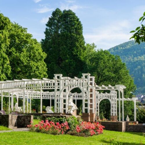 Botanische Kurparkführung