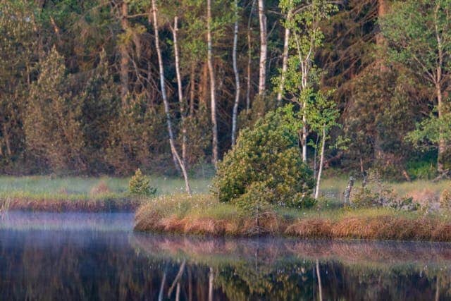 Wunderwelt Moor