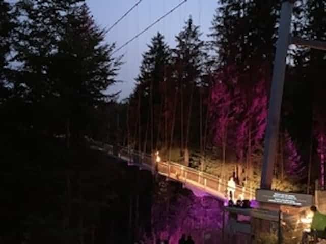 Rossini in Wildbad - Serenade auf der WILDLINE