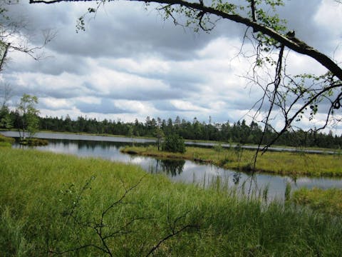 Sulzkar und Wildsee – Zeugen der letzten Eiszeit
