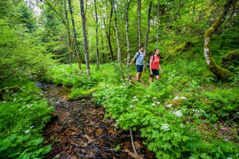 Globetrotter Wandertage Schwarzwald - Aichelberger Traumtour mit Fautsburg