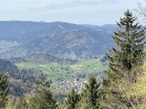 Globetrotter Wandertage Schwarzwald - Auf den Spuren des Westwegs
