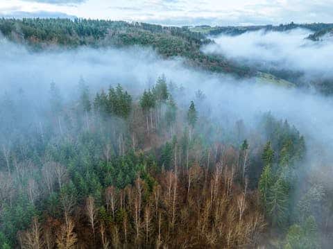 Globetrotter Wandertage Schwarzwald - Besteigung des "Mt. Sommerrest"