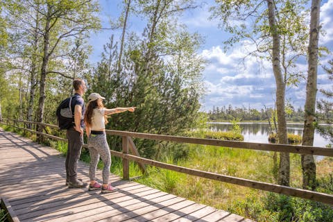 Globetrotter Wandertage Schwarzwald - Das Wildseemoor und seine Geheimnisse