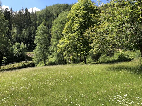 Globetrotter Wandertage Schwarzwald - Das atemberaubende Sulzkar von Bad Wildbad
