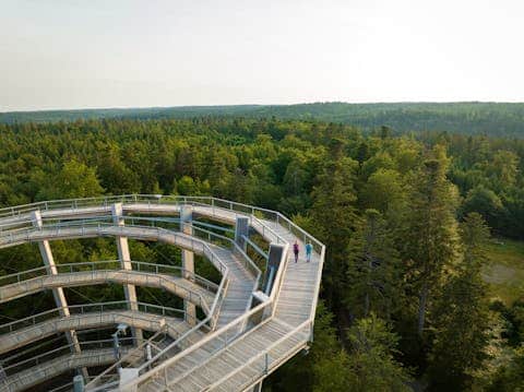 Globetrotter Wandertage Schwarzwald - Über die Wipfel von Bad Wildbad