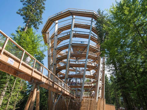 Baumwipfelpfad Schwarzwald feiert 10. Geburtstag