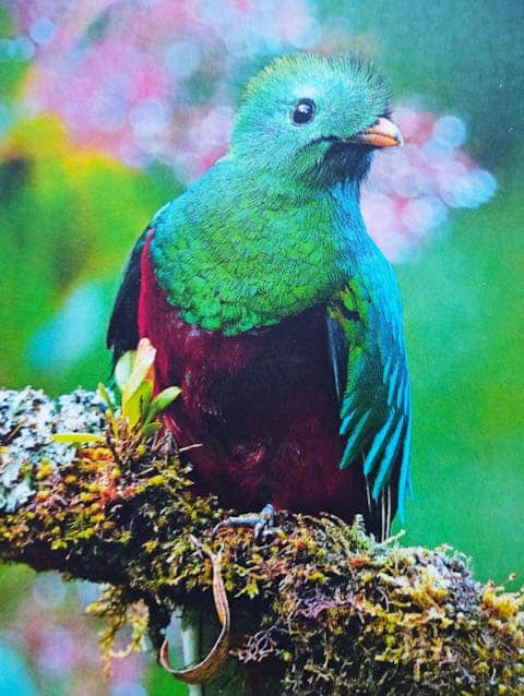 Costa-Rica Vortrag
