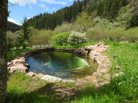 Stillewanderung in der Natur