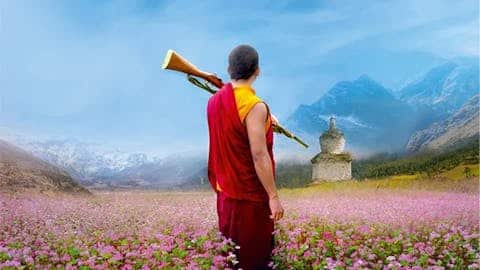 WAS WILL DER LAMA MIT DEM GEWEHR?