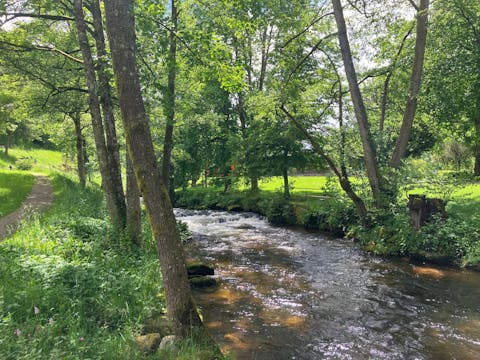 „Der ist wie ein Baum, gepflanzt an den Wasserbächen“ Psalmen-Weg – ein geistlicher Spaziergang im Kurpark