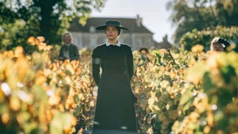 DIE WITWE CLICQUOT