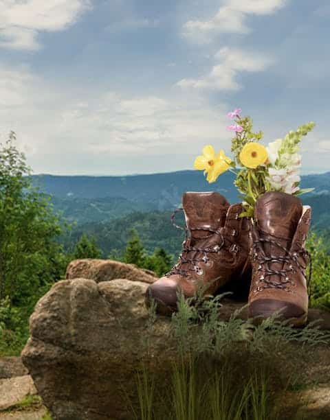 2. Globetrotter Wandertage Schwarzwald