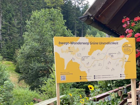 Geführte Wanderung: Die Grüne Unendlichkeit