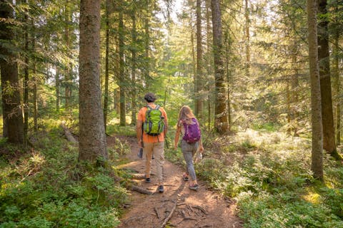 Tag des Wanderns - Geführte Wanderung mit Ginverkostung