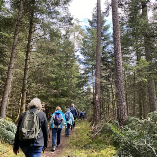 125 Jahre Westwegjubiläum - Geführte Staffelwanderung