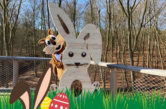 Große Ostereiersuche auf dem Baumwipfelpfad