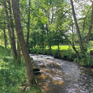 2. Wildbader Psalmen Weg - ein geistlicher Spaziergang im Kurpark