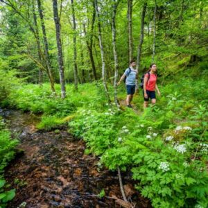 Globetrotter Wandertage Schwarzwald - Aichelberger Traumtour mit Fautsburg