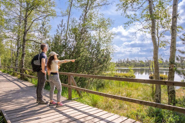 Globetrotter Wandertage Schwarzwald - Das Wildseemoor und seine Geheimnisse