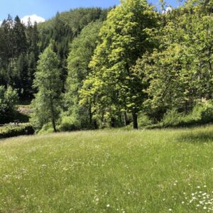 Globetrotter Wandertage Schwarzwald - Das atemberaubende Sulzkar von Bad Wildbad