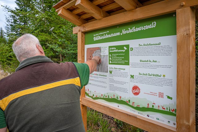 Globetrotter Wandertage Schwarzwald - Den Wald kennenlernen - unterwegs mit dem Jäger