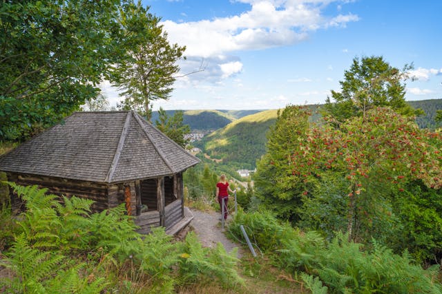 Globetrotter Wandertage Schwarzwald - Eine Wanderung für Singles über die Wetterfahnenhütte