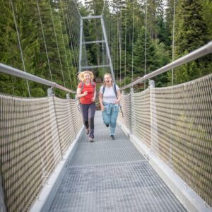 Globetrotter Wandertage Schwarzwald - Entdecke die wilde Seite von Bad Wildbad