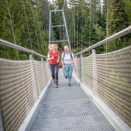 Globetrotter Wandertage Schwarzwald - Entdecke die wilde Seite von Bad Wildbad
