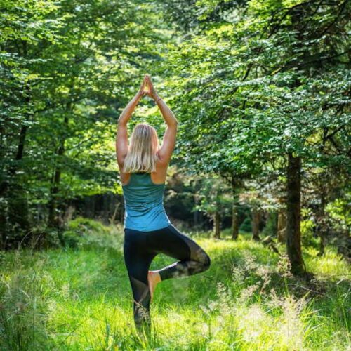 Globetrotter Wandertage Schwarzwald - Hatha-Yoga Fortgeschrittene