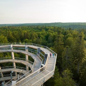Globetrotter Wandertage Schwarzwald - Über den Wipfeln von Bad Wildbad