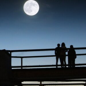Mondfinsternis auf dem Baumwipfelpfad